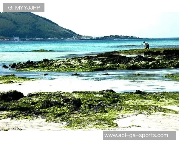 济州岛足球场全景探秘体验畅享激情与美景的完美结合 济州岛足球场全景探秘体验畅享激情与美景的完美结合