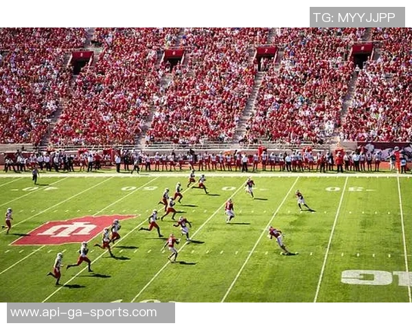 美式足球比赛获奖背后的故事与荣耀之路探秘