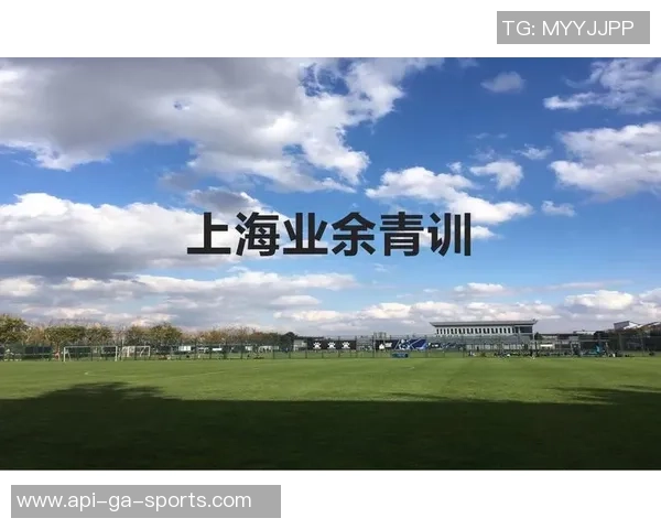 足球制作标准的全面解析与行业规范提升探讨